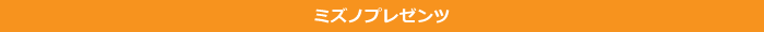 ミズノプレゼンツ